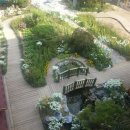 미주 유치원 이미지