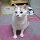 나무쉼터 동물병원 이미지