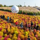 2019-주087 이미지