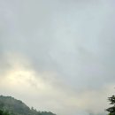 K-Meditation 차훈명상 세계, 仙海의 새벽 편지 (8)​스마트 폰 중독 ― 멈추지 못하는 뇌 이미지
