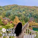 관광지순환버스(주) 노동조합 | 곤지암 화담숲 모노레일 없이 걸어본 단풍길 후기