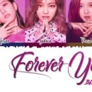 남자가 부른 블랙핑크 'Forever Young' 이미지