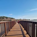 무안황토갯벌랜드 이미지