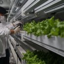 김양수농장 이미지