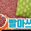 인생찜질