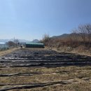 기북농장 이미지