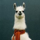 사계절 세탁 이미지