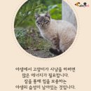 잠꾸러기 - 파주시 가재울로93번길 25-9 | 잠꾸러기