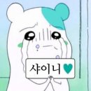 여수투어