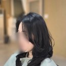 아네모네미용실