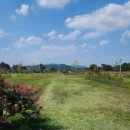 구미파크골프장 이미지