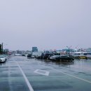 제주 올레길 15코스 B 이미지