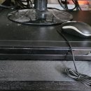 세계명견 감곡켄넬 이미지