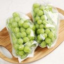 훈민농장 이미지