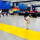 월드타이거즈 이미지