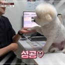 고수동물병원 이미지