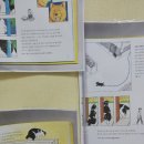 동네고양이 네이버블로그