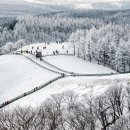 김경환목장 이미지