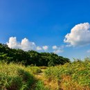 능원금속공원(주) | 인천 영종도 신도평화대교 개통 기념 신시모도 추천 여행 코스 총정리 신도편ㅣ신도저수지, 능원이해변
