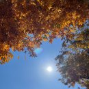 만평주민도서관 이미지