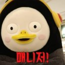 스테이올라 이미지