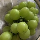 원씨네농장 이미지