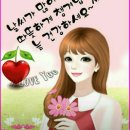 다민 이미지