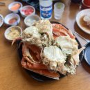 인어교주해적섬 FISH LOUNGE | 대게 맛집 인어교주 해적섬 재방문 후기 (상차림비 메뉴 식사시간제한)