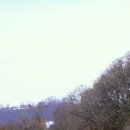 노선목장 이미지