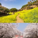 호텔 봄 이미지