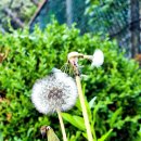 실바람공원 이미지