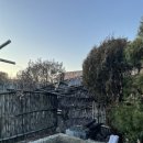 중휴림 테마궁 | 파주핫플풀빌라펜션 중휴림 노천스파 발리 느낌 감성숙소