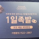 1일족발김해