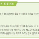 남촌동 주말농장