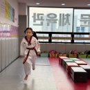 글로벌 경희대 태권도장 | 하늘도시태권도 다니는 아이들의 변화, 학부모가 직접 전한 후기