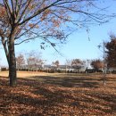 신현동-8 이미지