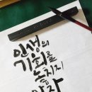 라움캘리
