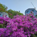 솔골펜션 이미지