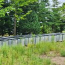 강릉지사 태양광발전소 이미지