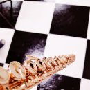 로뎀음악학원 이미지