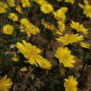 기운농장 이미지