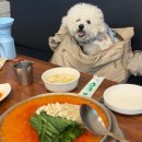 짱구네낙지전문점 | 을왕리 맛집 낙지 추천! 애견동반 가능한 을왕리짱구네 산낙지전골 후기