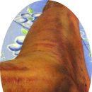 해뜨는집 이미지