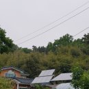 이호리농산물