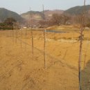 승리농장 이미지