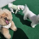 댕동댕 유치원 이미지