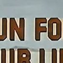 Life Director 이미지