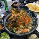 싱싱포차산오징어;활어