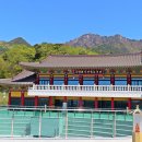 동화사 - 세종특별자치시 | 동화사