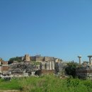 사도교회 앞 이미지